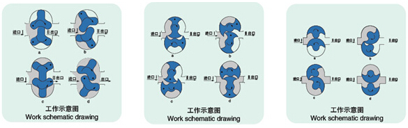 LQ系列衛(wèi)生級(jí)凸輪轉(zhuǎn)子泵結(jié)構(gòu)圖